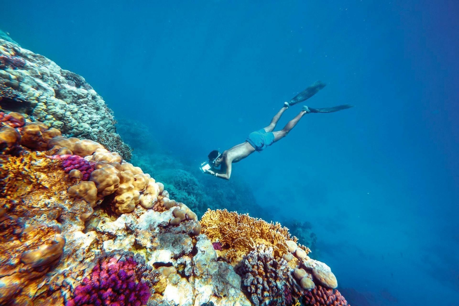 Египет — изображение 7